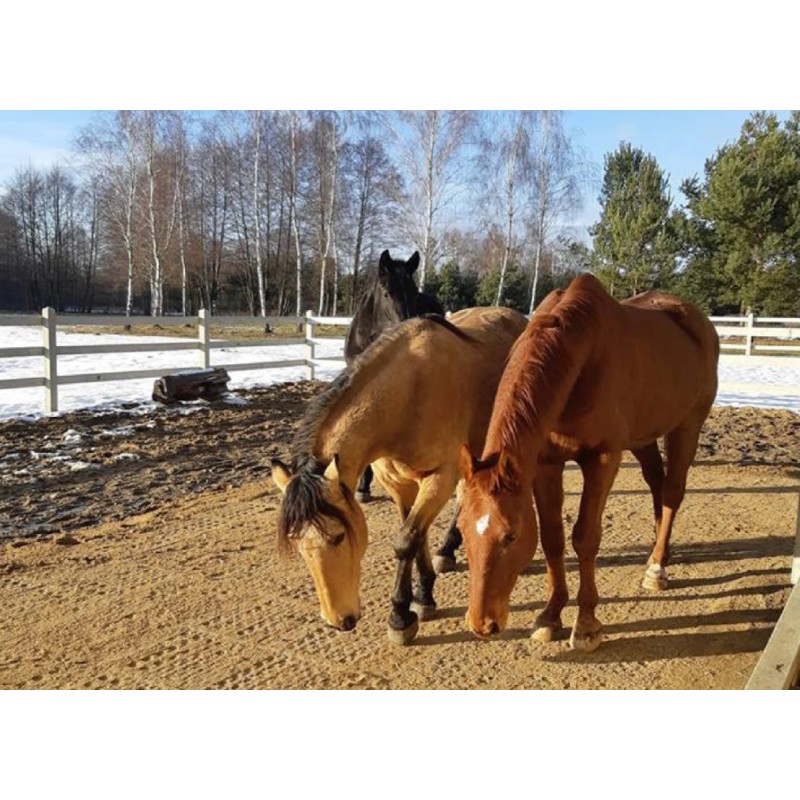 Rešetka iz plastične mase PADDOX