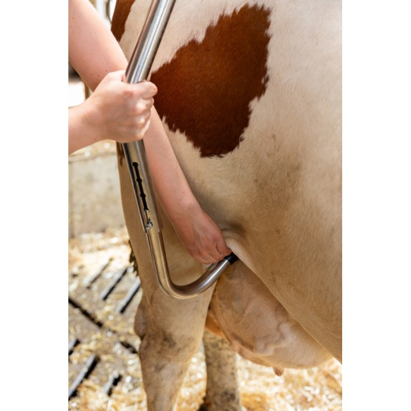 Kolčna spona Easy Release, pocinkana