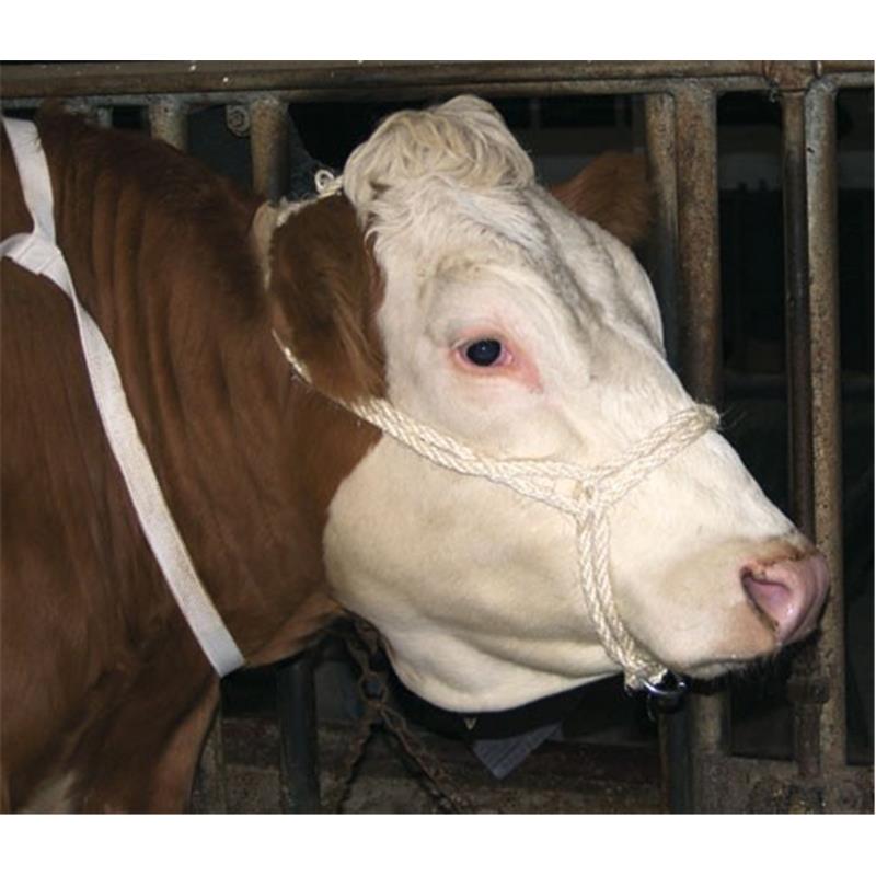 Uzda za govedo - dvojna sisal vrv