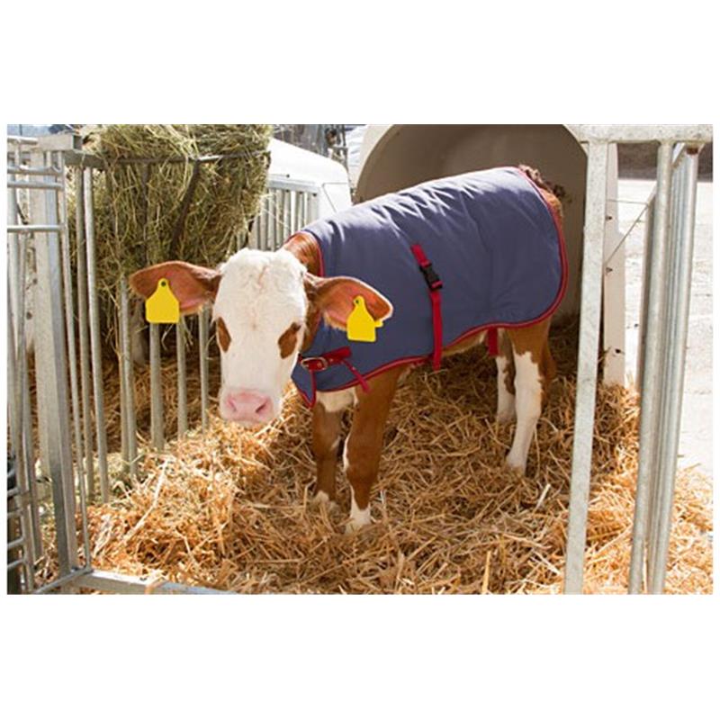 Deka za teleta ThermoPlus 80 cm