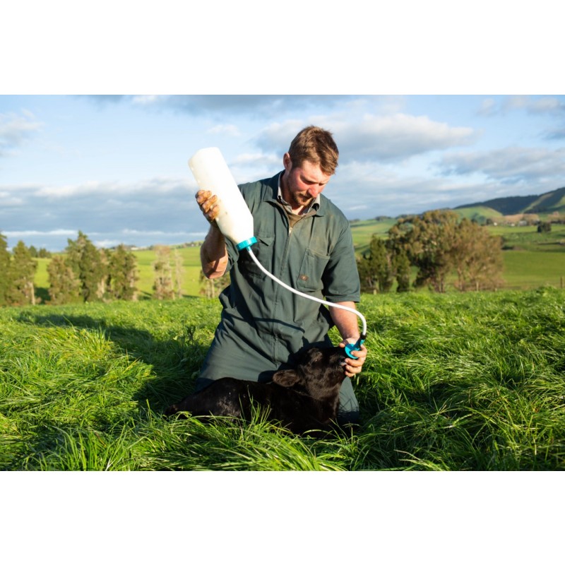 Antahi Calf drencher 4 ltr. z naglavnim trakom