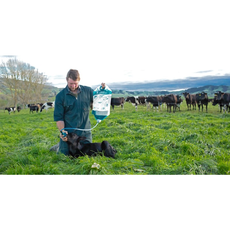 Trusti vrečke za mlezivo ( kolostrum ) - set 10-ih