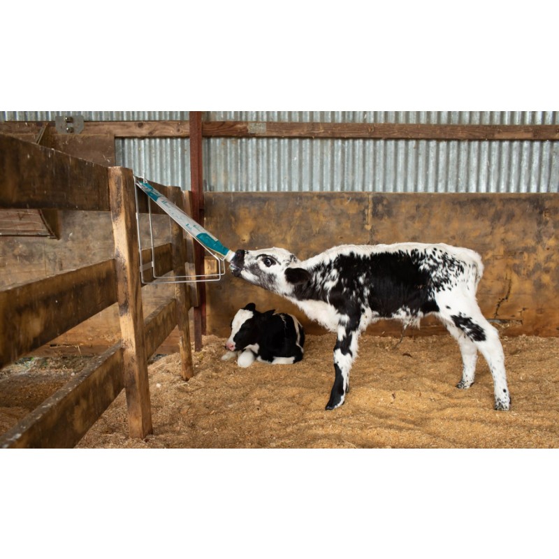 Trusti vrečke za mlezivo ( kolostrum ) - set 10-ih