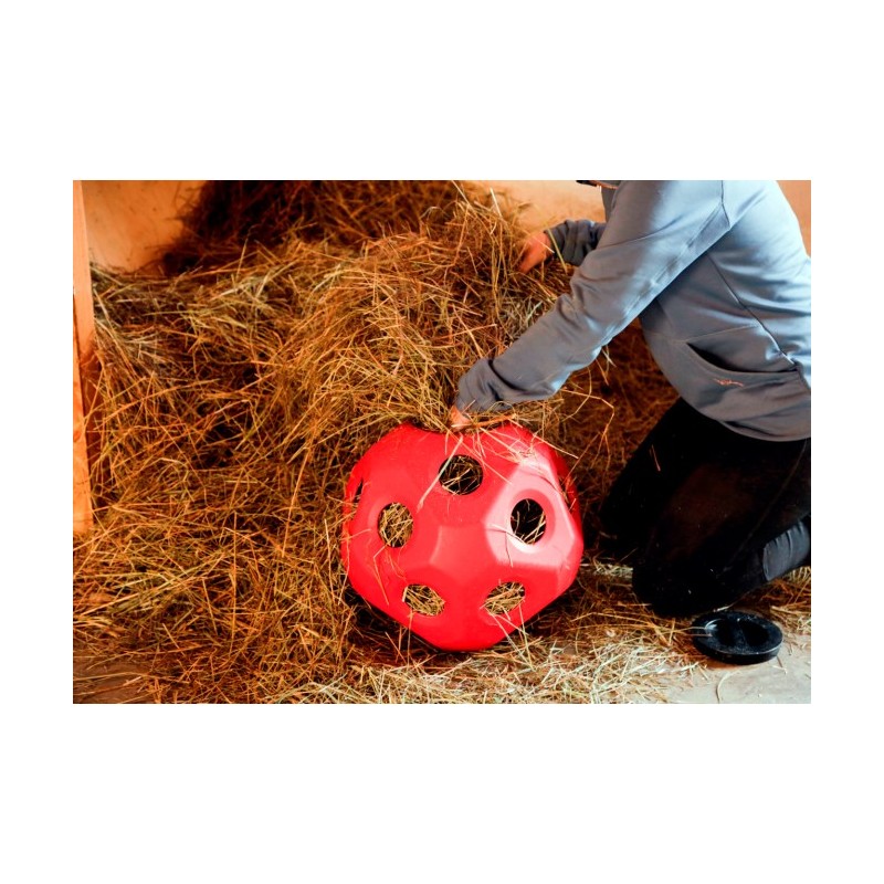 Igralna žoga za krmo