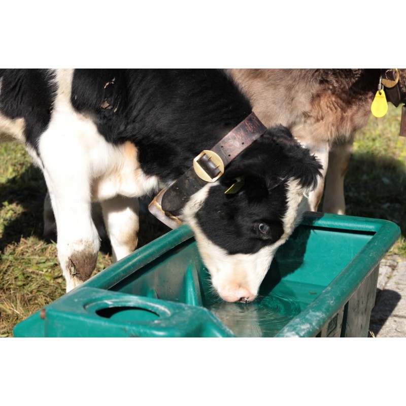 Pašno napajalno korito WT200