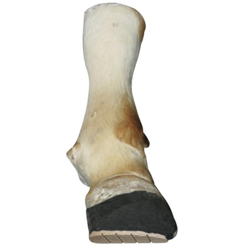 Technovit® 6091 - 10 v paketu vklj. s pospeševalom