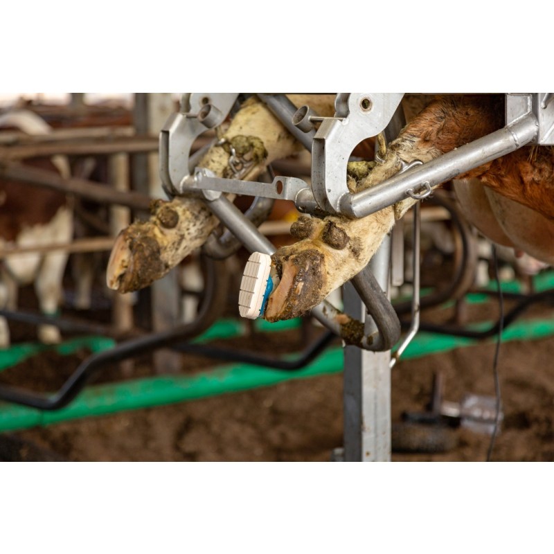 Kartuša Technobase® 2CB 210 ml