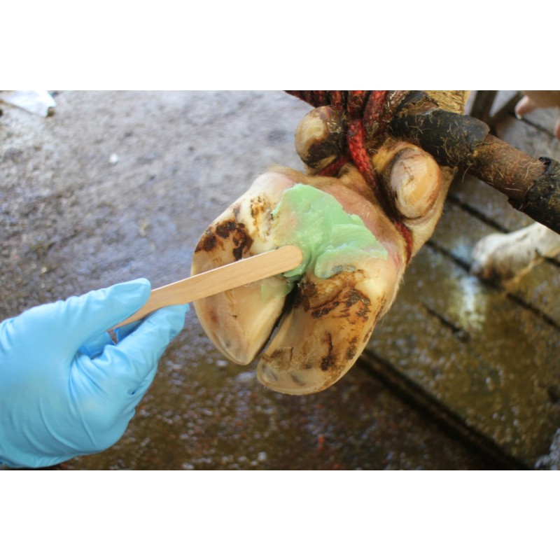 Pasta za parklje Podoseptan