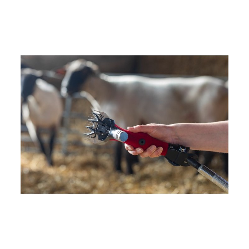 Wellington Sistem za striženje ovac Worm-Drive