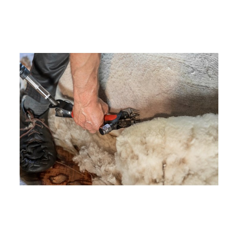 Wellington Sistem za striženje ovac Worm-Drive