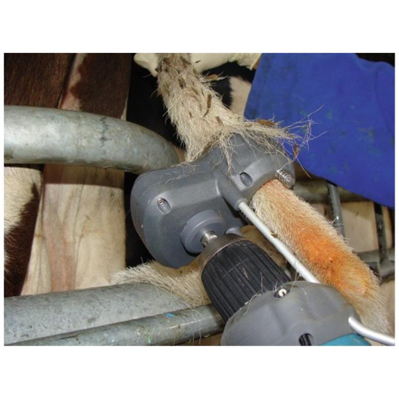 Prirezovalnik kravjega repa TailWell - Titanium