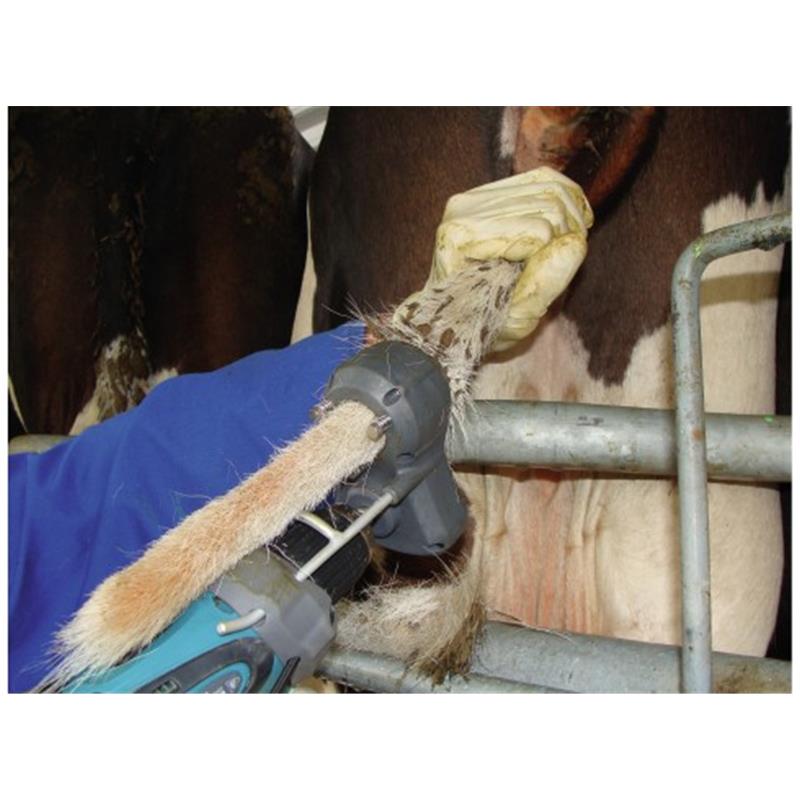 Prirezovalnik kravjega repa TailWell - Titanium