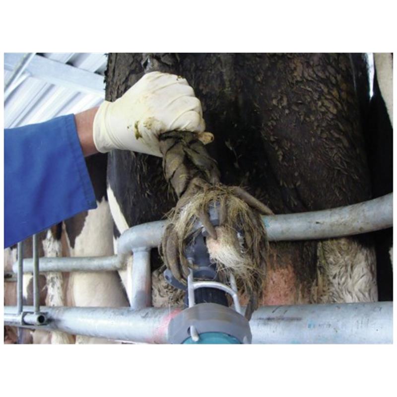 Prirezovalnik kravjega repa TailWell - Titanium