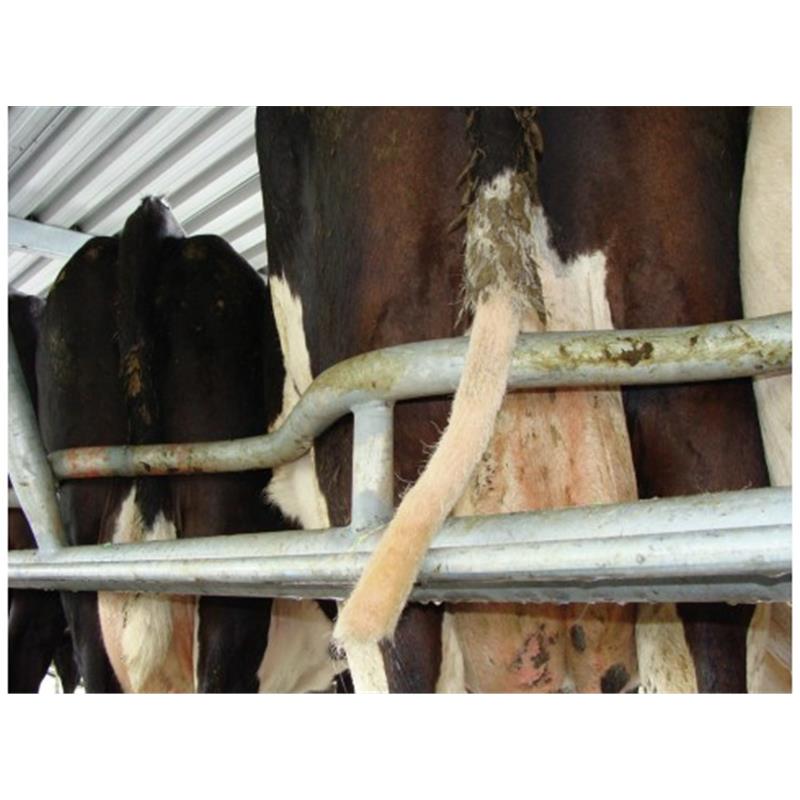 Prirezovalnik kravjega repa TailWell - Titanium