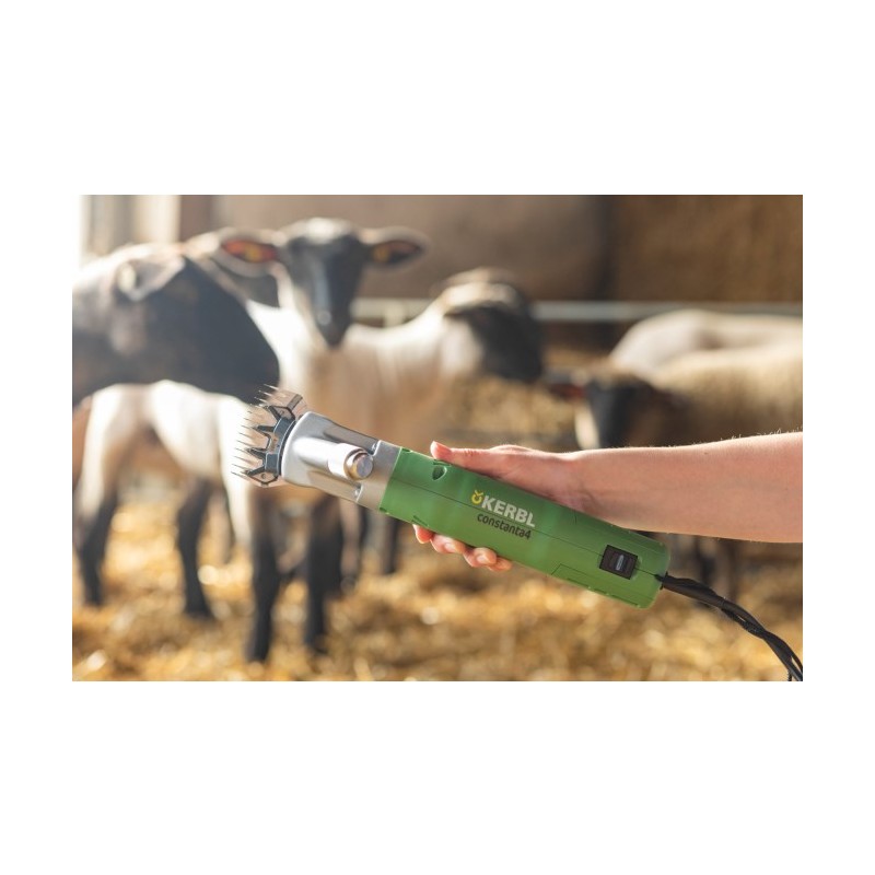 Škarje za striženje  Constanta4