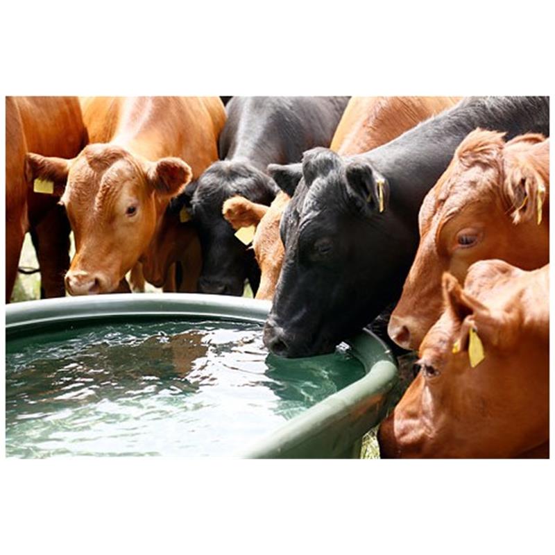 Pašno napajalno korito 1000 ltr.