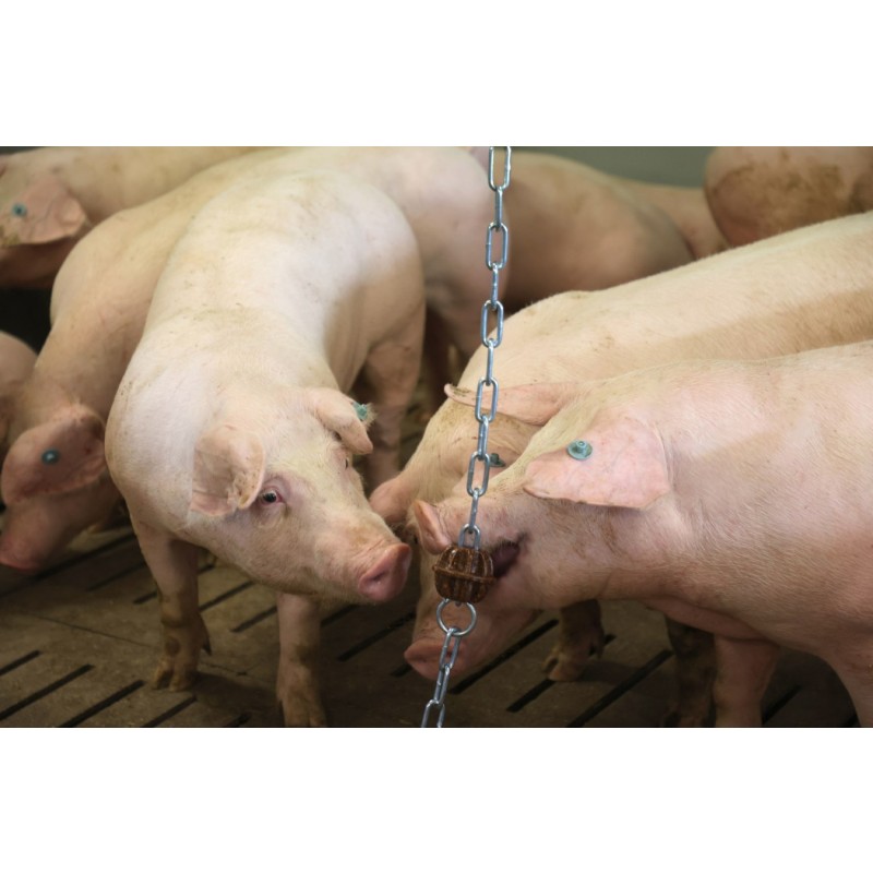 Veriga za obešanje z obročkom