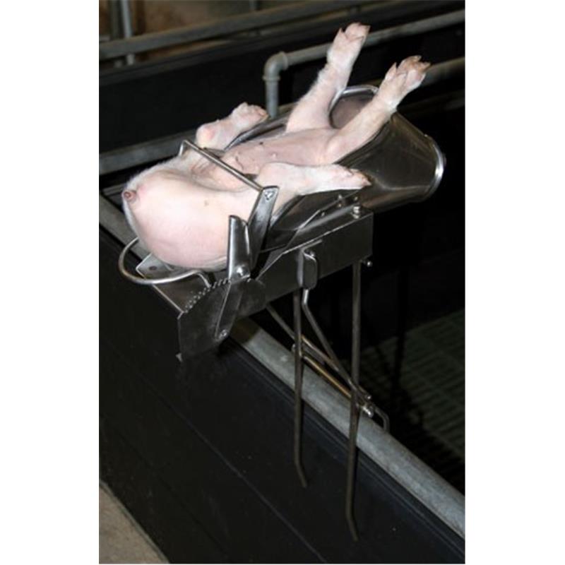 Pripomoček za kastriranje prašičkov