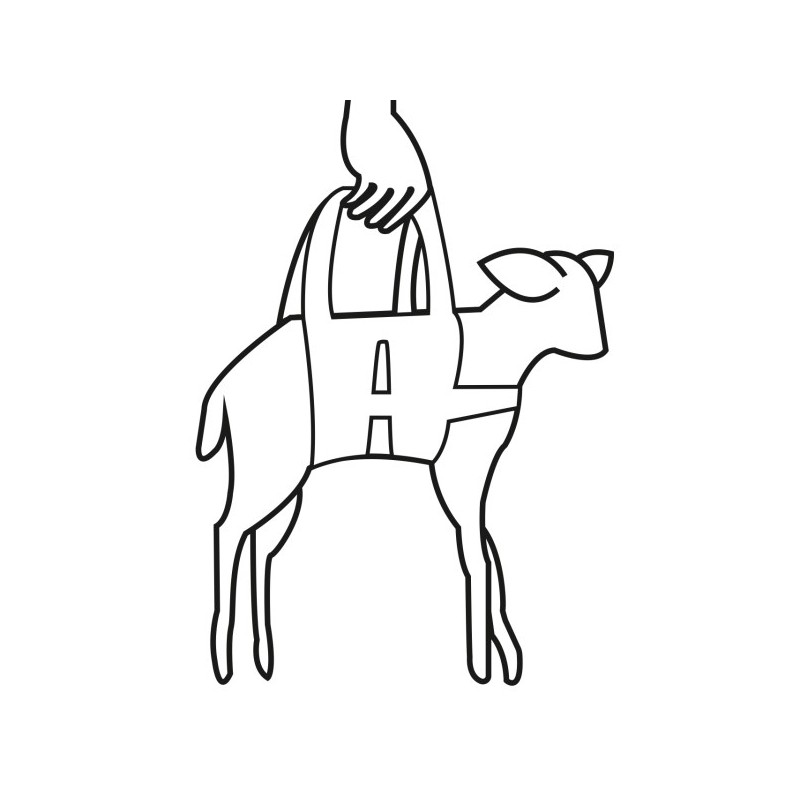 Tehtalna zanka za jagnja