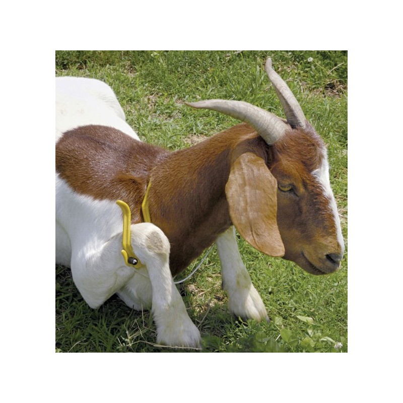 Imobilizacijski lok GAMBREL