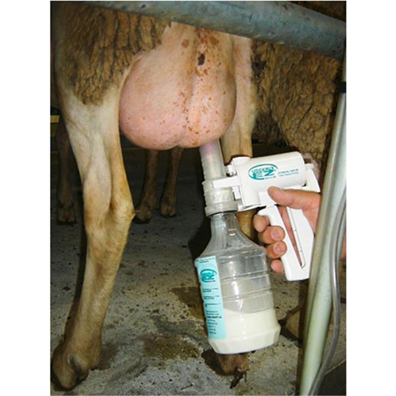 Ročna črpalka za mleko za ovce