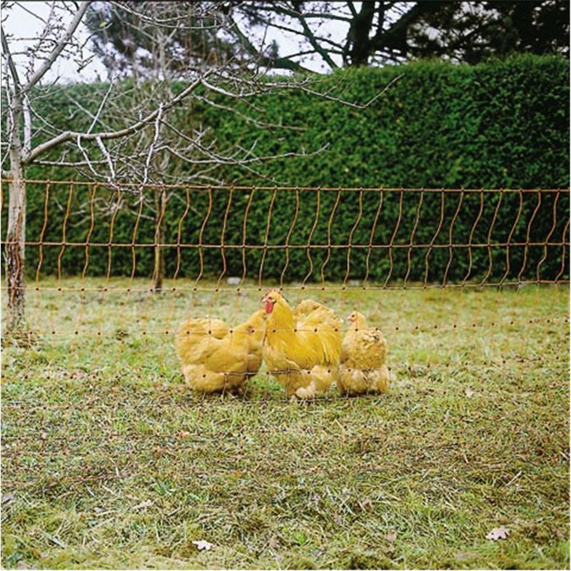 Električna mreža za perutnino PoultryNet - oranžna