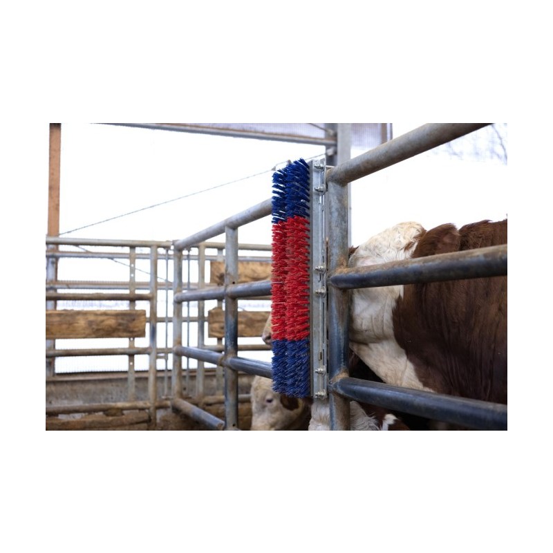 Krtača HAPPYCOW Bully