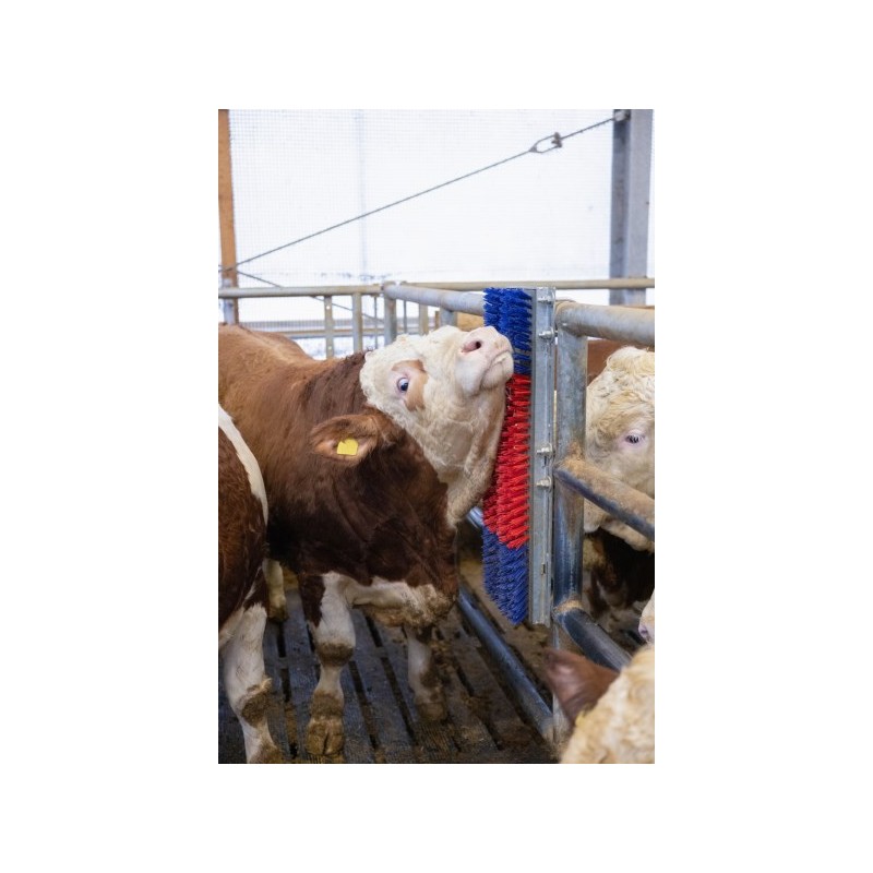 Krtača HAPPYCOW Bully