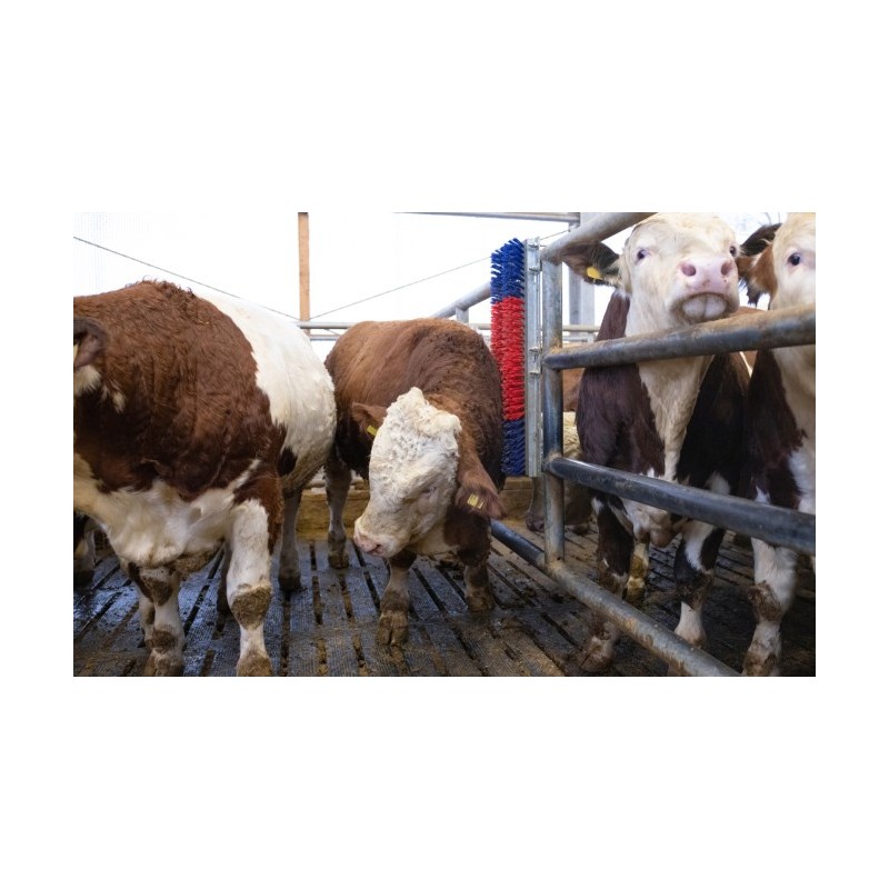 Krtača HAPPYCOW Bully