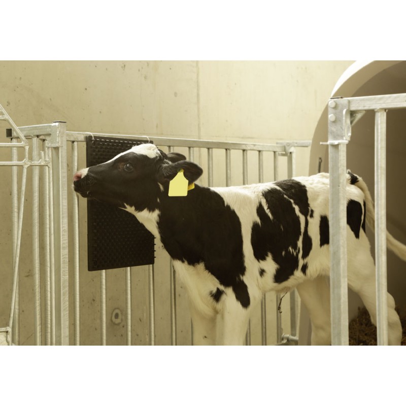 Podloga za praskanje