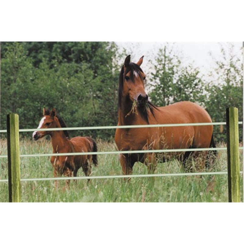 Leseni steber Octo Wood 