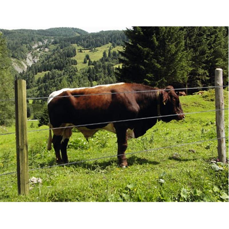 Leseni steber Octo Wood 