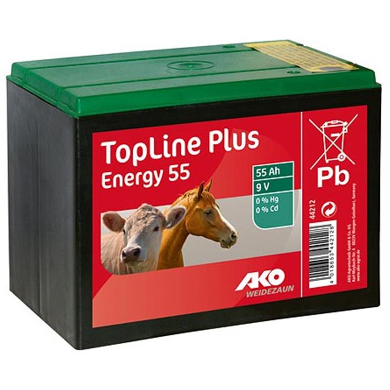 Zink-ogljikova zaprta baterija 9 V - 55 Ah