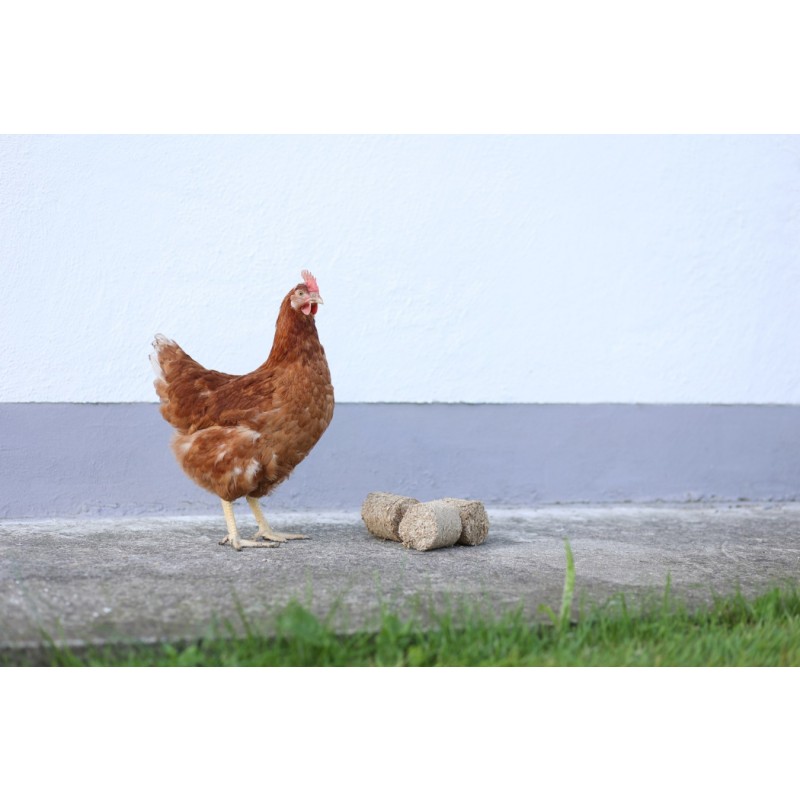 Briketi iz pirinih luščin 24/1