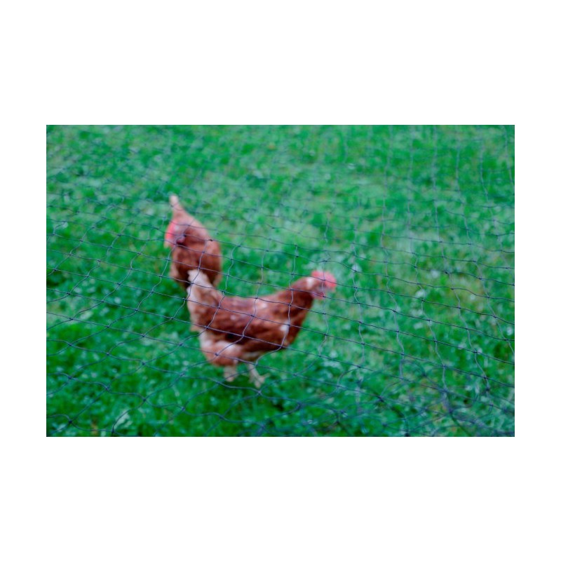 Zaščitna mreža za perutnino