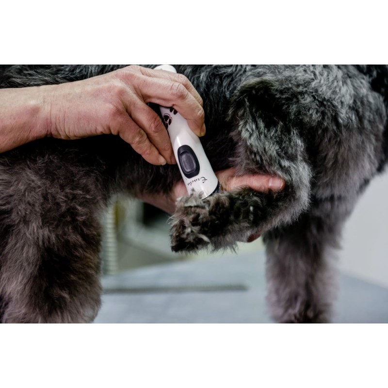 Številka artikla GT416 Aesculap Akumulatorski strižnik Exacta