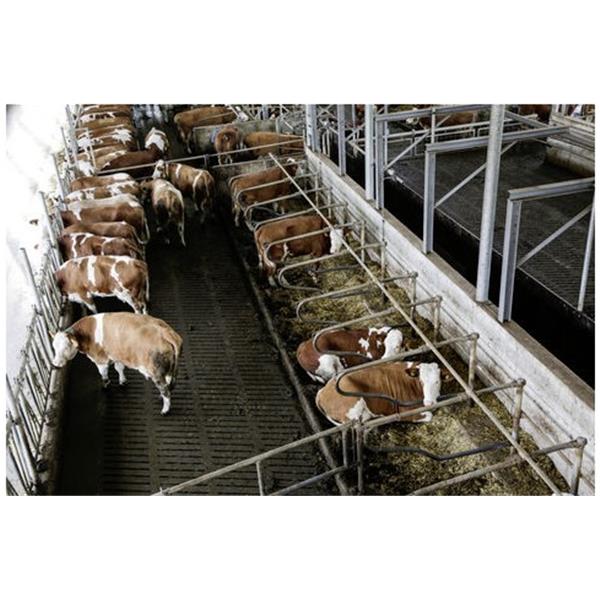 IPCam 360 FHD s 5-kratno optično povečavo