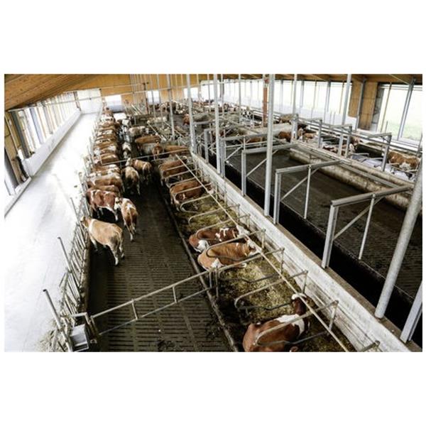 IPCam 360 FHD s 5-kratno optično povečavo