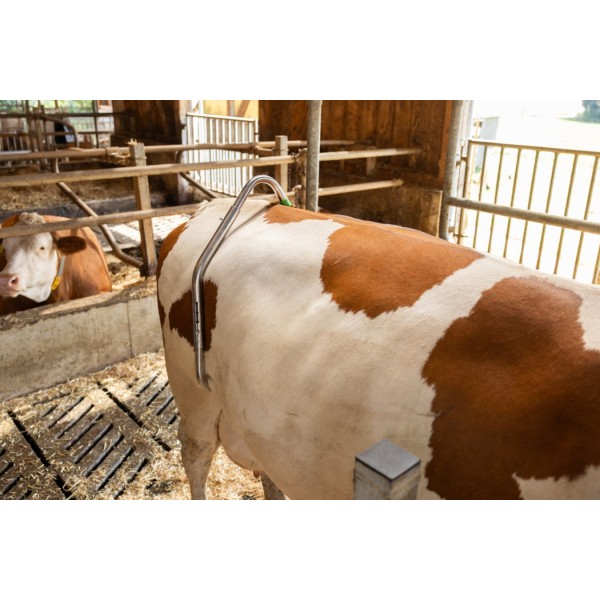 Kolčna spona Easy Release, pocinkana