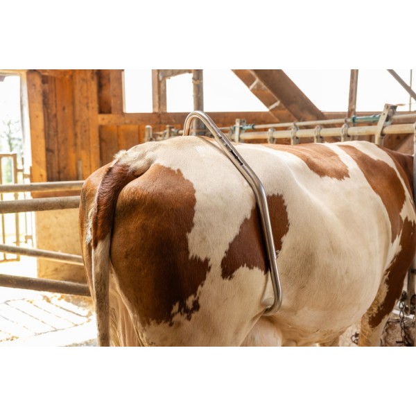 Kolčna spona Easy Release, pocinkana