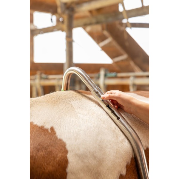 Kolčna spona Easy Release, pocinkana