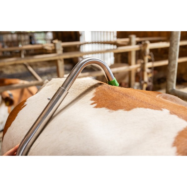 Kolčna spona Easy Release, pocinkana