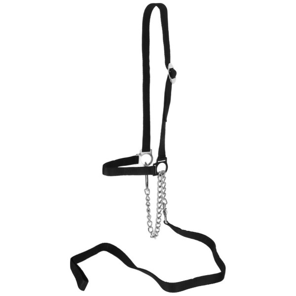 Uzda za vodenje krave