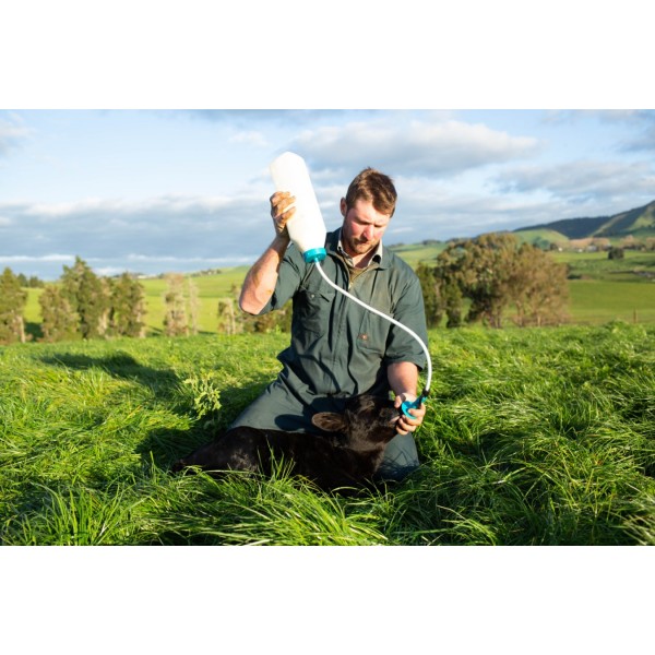 Antahi Calf drencher 4 ltr. z naglavnim trakom