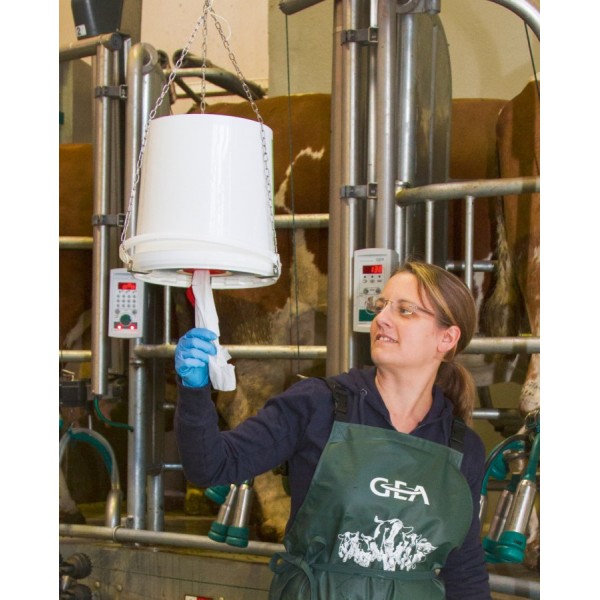 Brisače za vime - vlažne - 800 kom