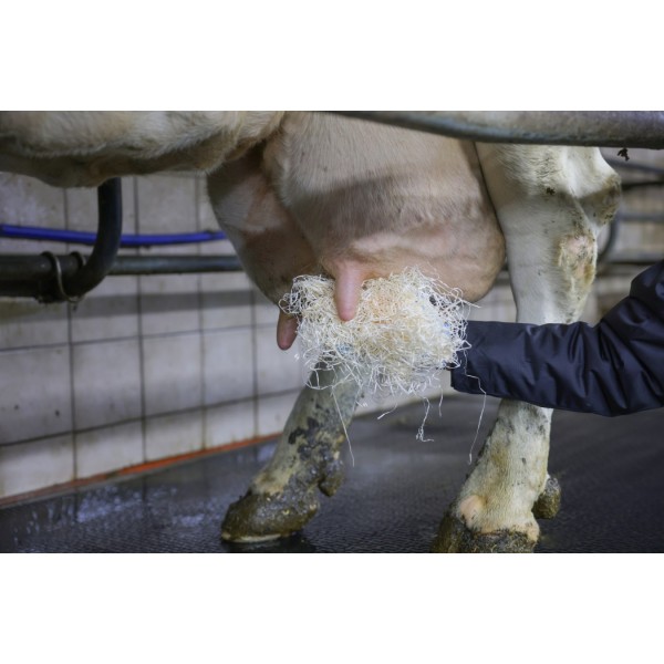 Lesna volna za čiščenje vimena