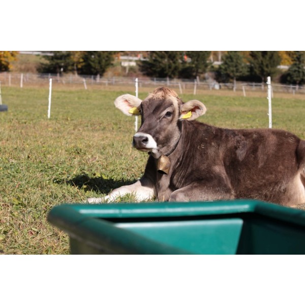 Pašno napajalno korito WT200