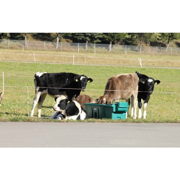 Pašno napajalno korito WT200