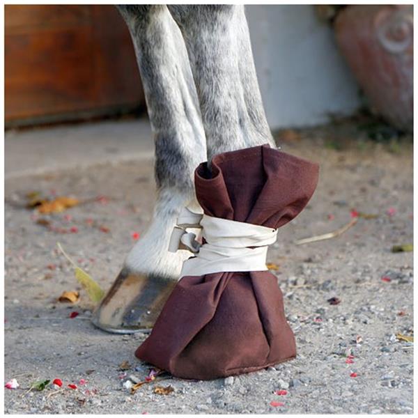 Čevelj za zdravljenje kopit in parkljev