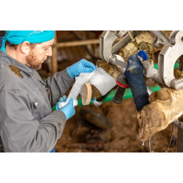 Vata v roli Rollino 10 cm x 3 m